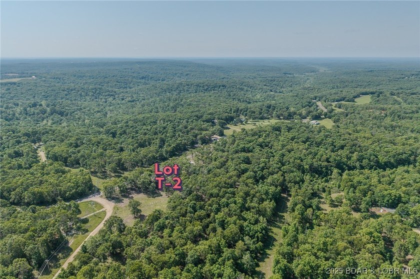 Excellent building lot consisting of 3.01 acres located on Ivy - photo 9
