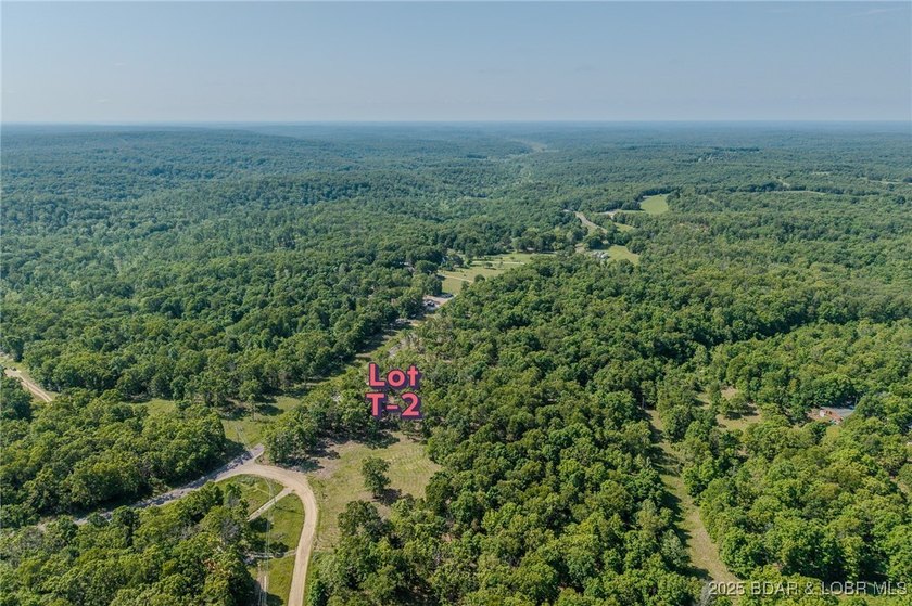 Excellent building lot consisting of 3.01 acres located on Ivy - photo 10