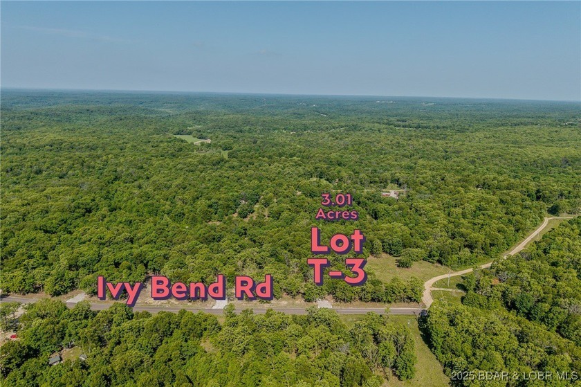 Excellent building lot consisting of 3.01 acres located on Ivy - photo 2