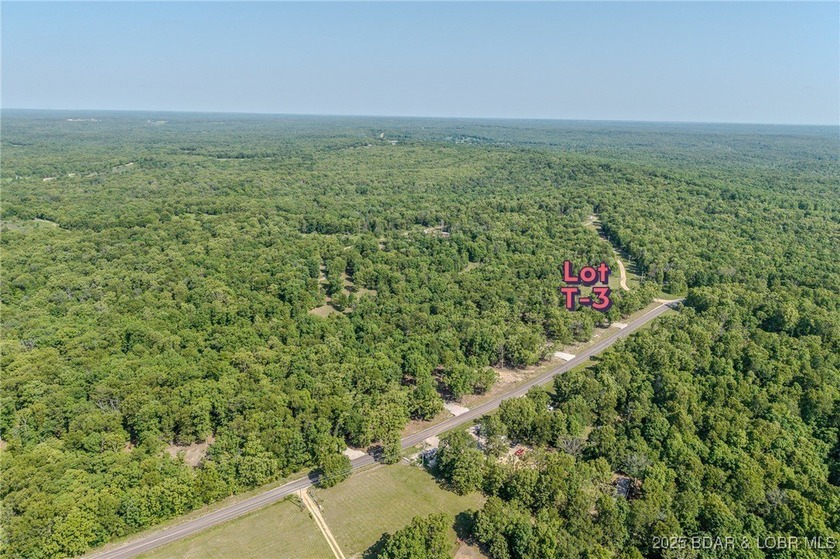 Excellent building lot consisting of 3.01 acres located on Ivy - photo 4