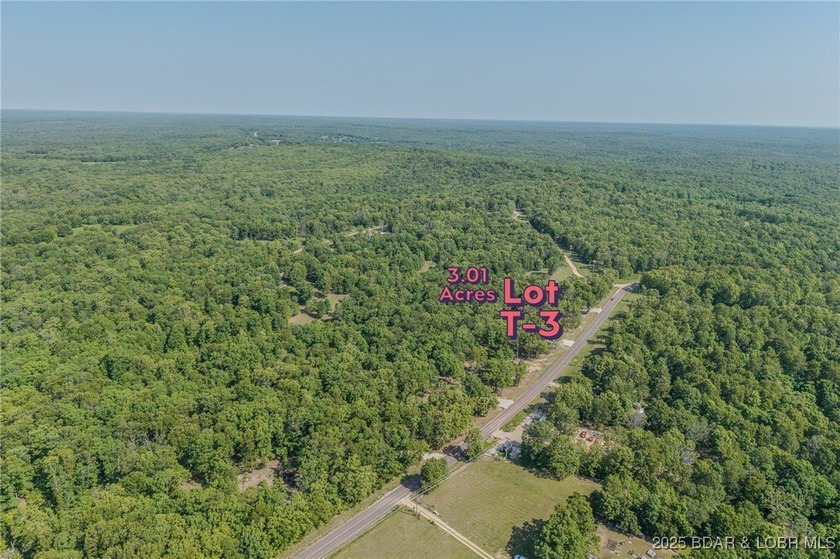 Excellent building lot consisting of 3.01 acres located on Ivy - photo 5