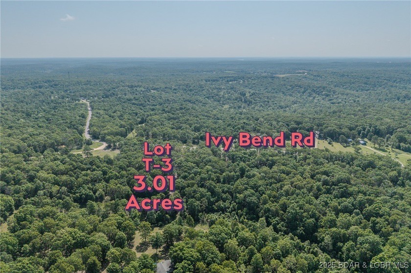 Excellent building lot consisting of 3.01 acres located on Ivy - photo 8
