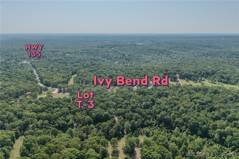 Excellent building lot consisting of 3.01 acres located on Ivy - photo 9