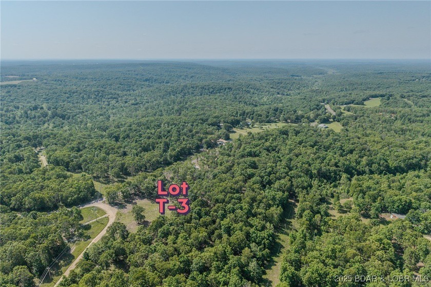Excellent building lot consisting of 3.01 acres located on Ivy - photo 10