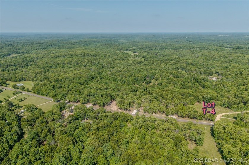 Excellent building lot consisting of 3.01 acres located on Ivy - photo 2