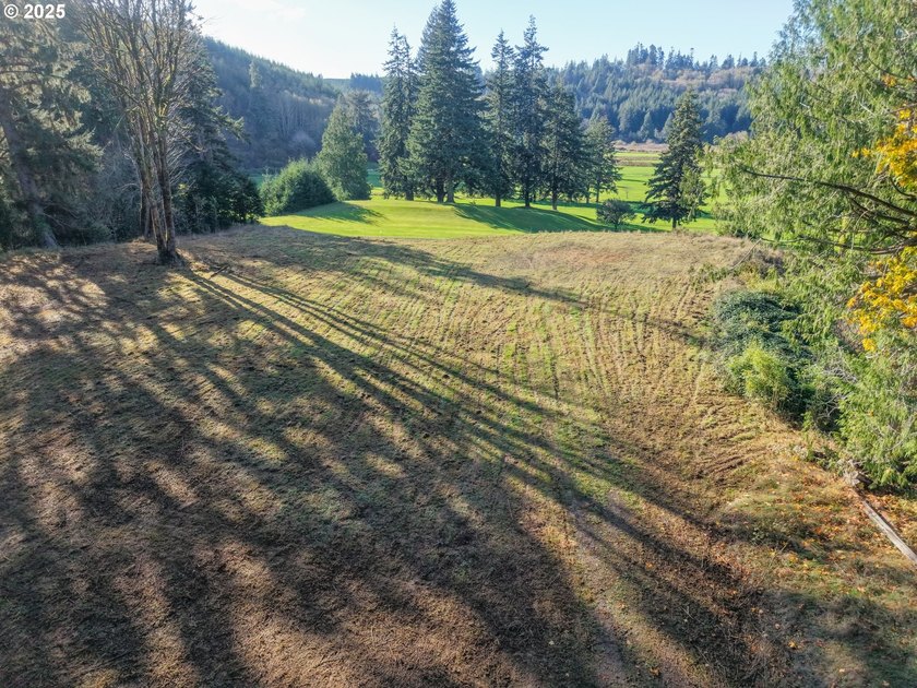 Beautiful 2.87-Acre Golf Course Lot in Ironwood Estates - - photo 2