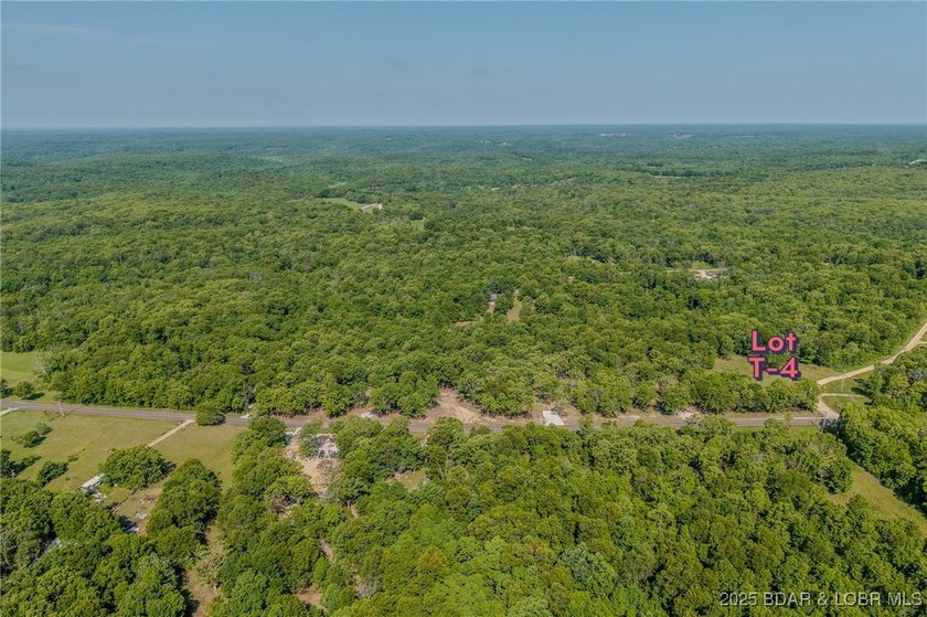 Excellent building lot consisting of 3.01 acres located on Ivy - photo 3