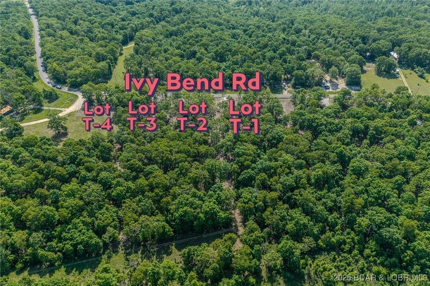 Excellent building lot consisting of 3.01 acres located on Ivy - photo 4