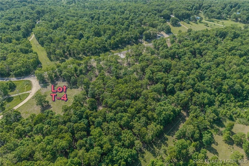 Excellent building lot consisting of 3.01 acres located on Ivy - photo 5