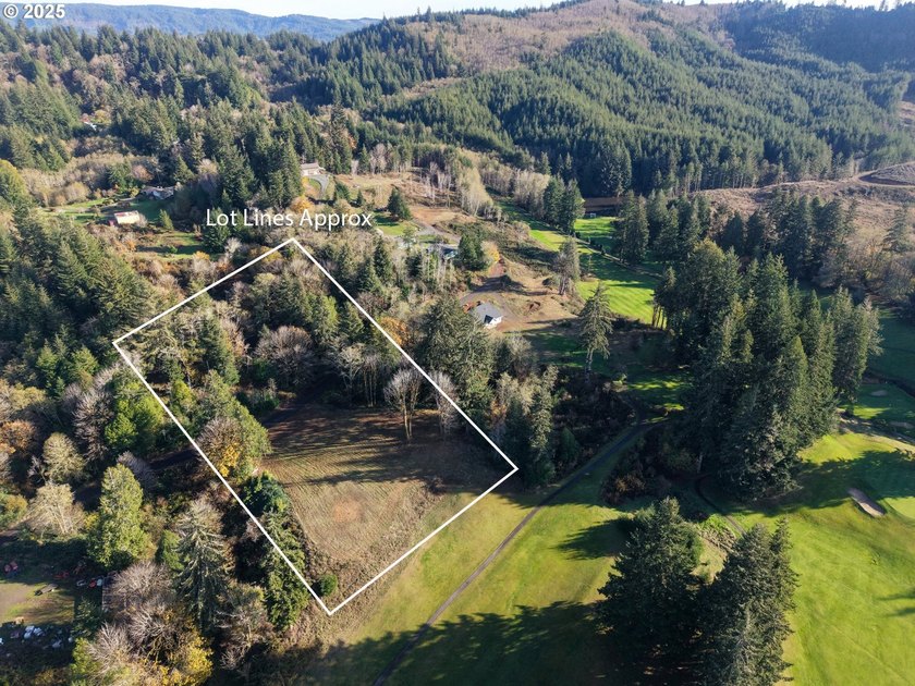 Beautiful 2.87-Acre Golf Course Lot in Ironwood Estates - - photo 6