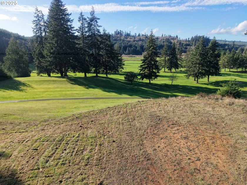 Beautiful 2.87-Acre Golf Course Lot in Ironwood Estates - - photo 7
