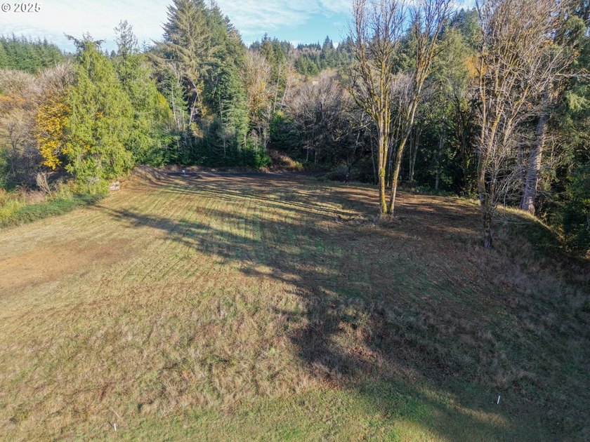 Beautiful 2.87-Acre Golf Course Lot in Ironwood Estates - - photo 8