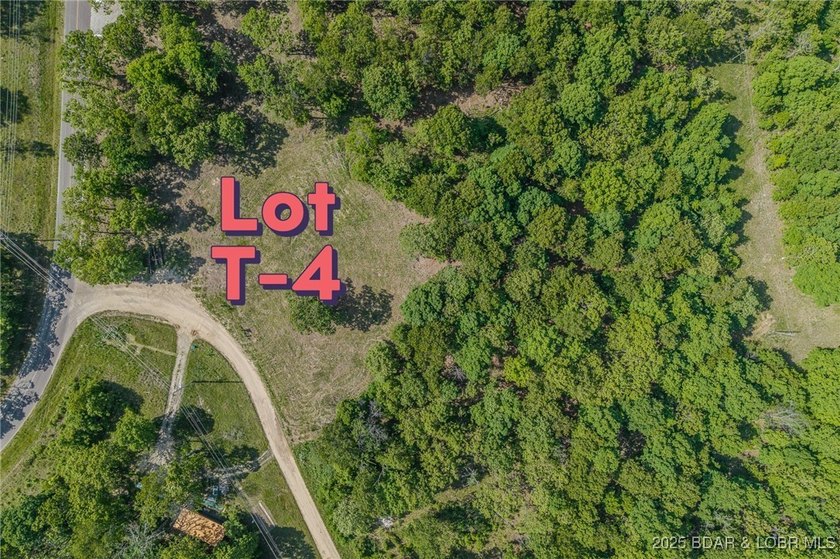 Excellent building lot consisting of 3.01 acres located on Ivy - photo 10