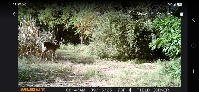 Tucked away in the rolling hills of southern Schuyler County - photo 4