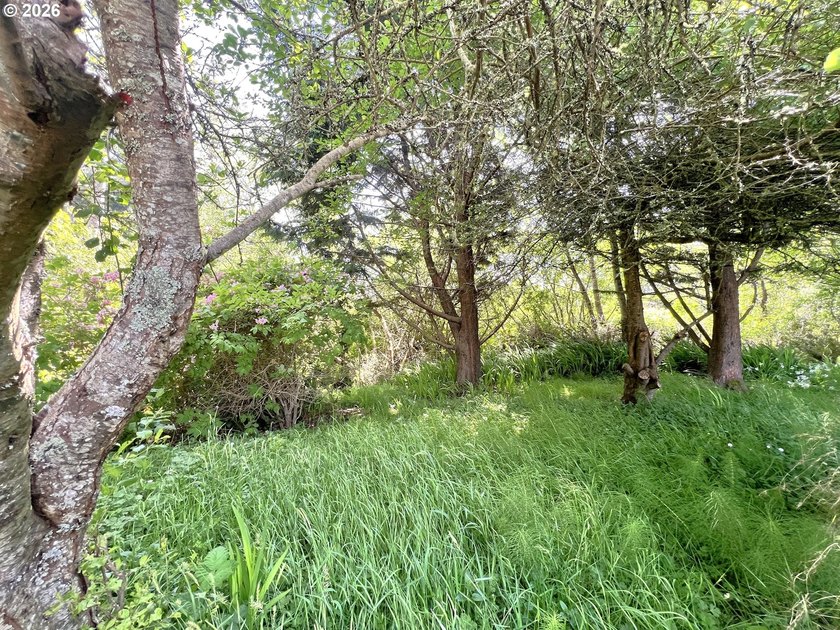 Opportunity awaits on this .48-acre property located just down - photo 12