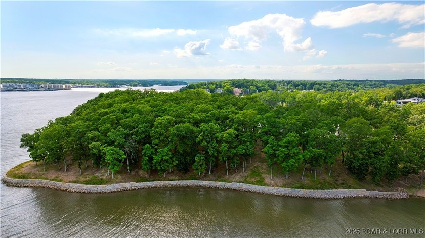 Discover an unparalleled opportunity to own a prestigious - photo 10