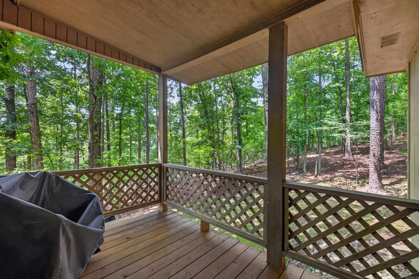 Enjoy the forest and wildlife from the deck of this - photo 12