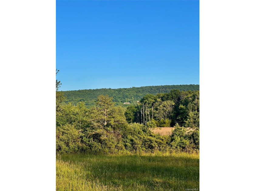AN EXTRAORDINARY OPPORTUNITY TO CREATE ONE OF THE HUDSON - photo 12