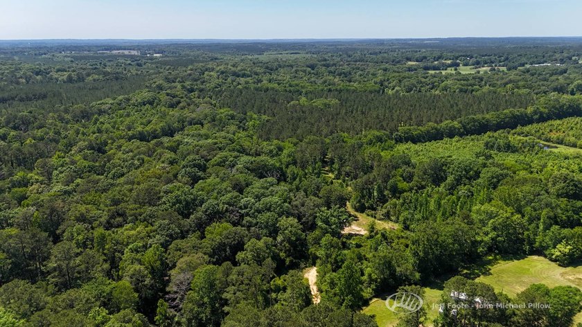 This 96+/--acre tract in Simpson County offers river frontage - photo 2