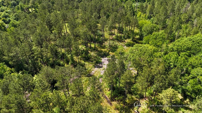 This 96+/--acre tract in Simpson County offers river frontage - photo 3