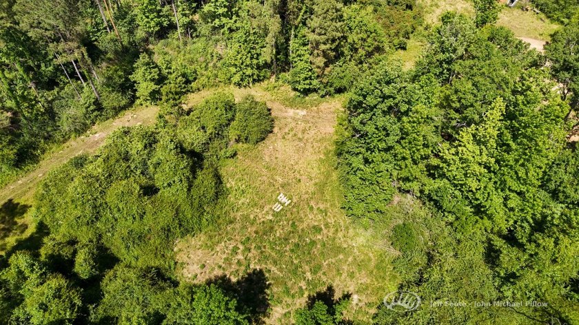 This 96+/--acre tract in Simpson County offers river frontage - photo 4
