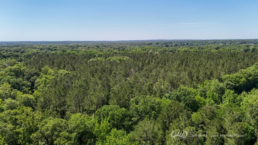 This 96+/--acre tract in Simpson County offers river frontage - photo 5