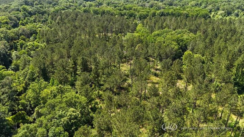 This 96+/--acre tract in Simpson County offers river frontage - photo 6