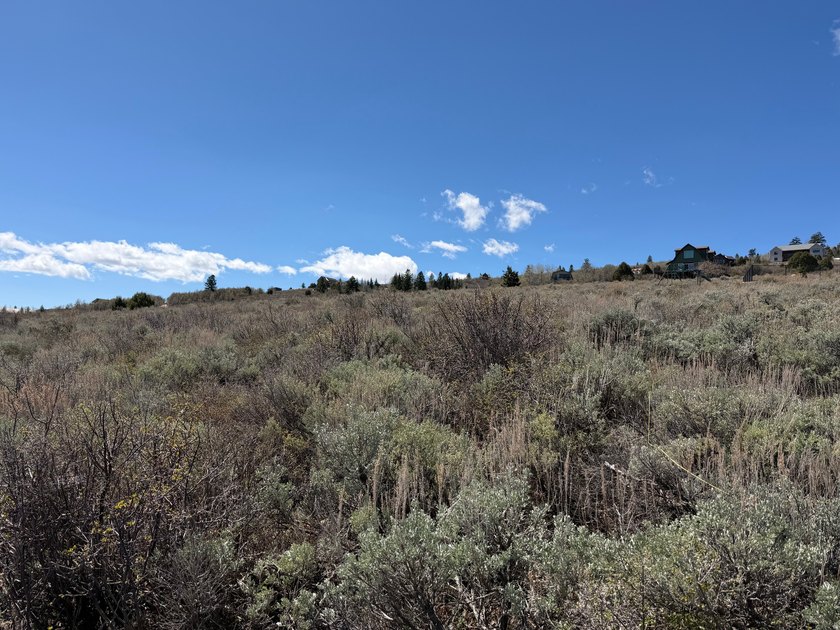 Are you looking for a quiet, family-friendly Bear Lake escape? - photo 15