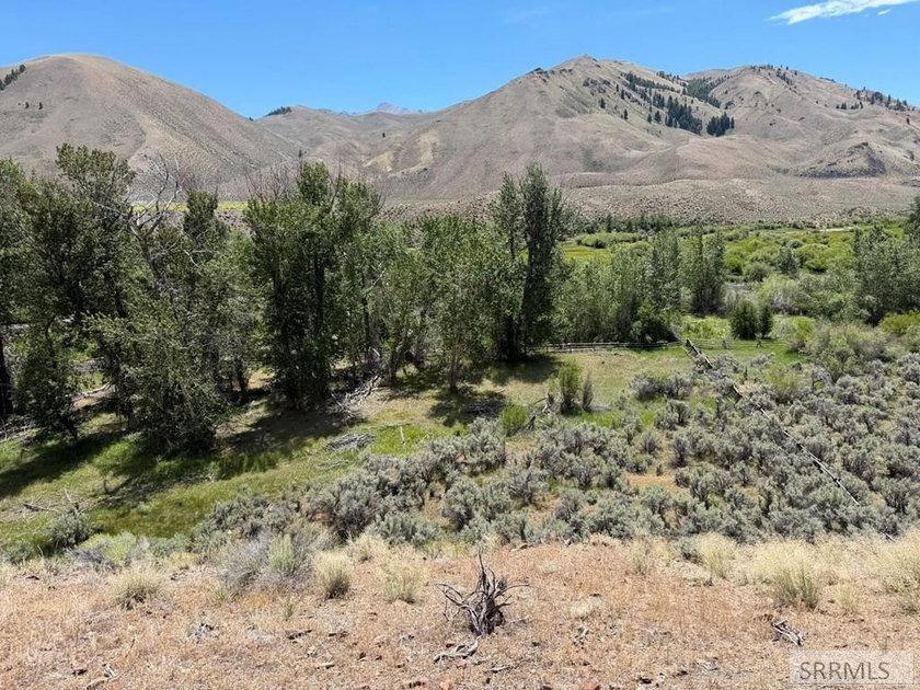 East Fork acreage with riverfront. Approx. 7.26 acres crossing - photo 15