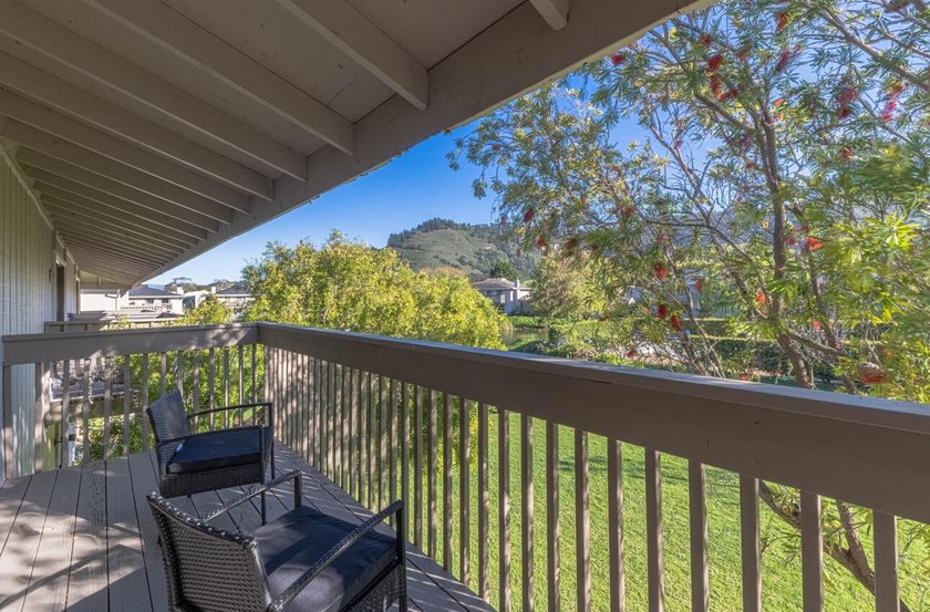 One of the largest updated Arroyo Carmel residences currently - photo 22
