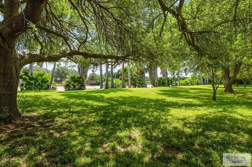 Nestled in the heart of San Benito, this stunning resaca-front - photo 37