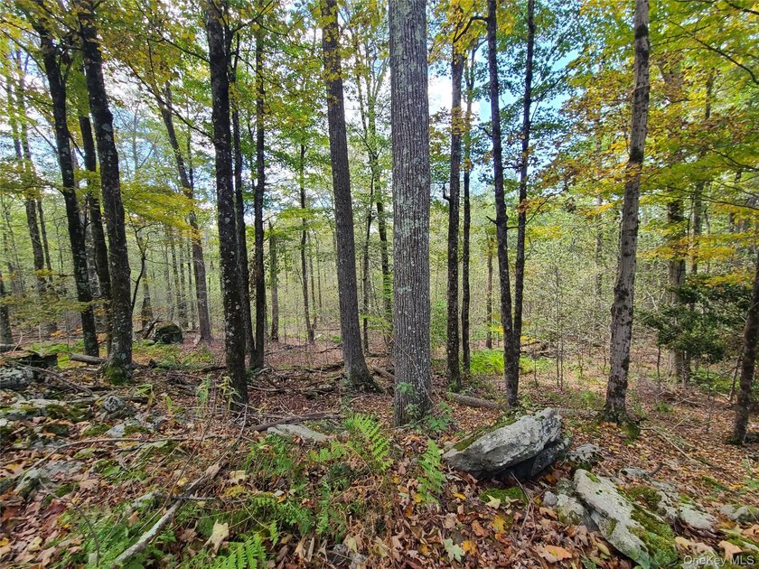 An exceptional opportunity in the heart of the Sullivan - photo 28