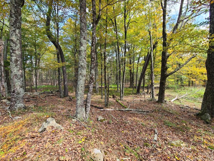 An exceptional opportunity in the heart of the Sullivan - photo 29