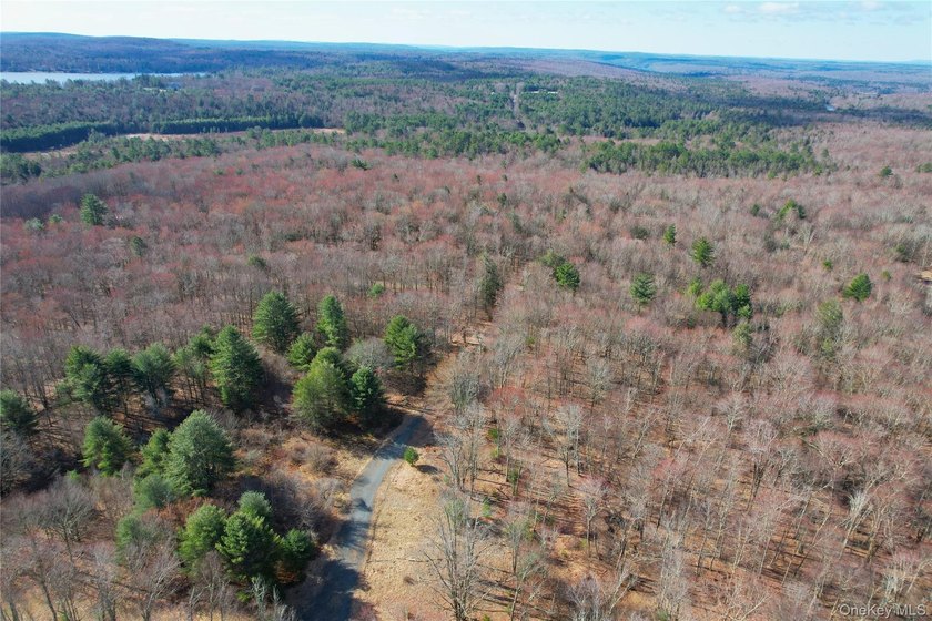 An exceptional opportunity in the heart of the Sullivan - photo 38