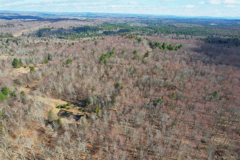 An exceptional opportunity in the heart of the Sullivan - photo 40