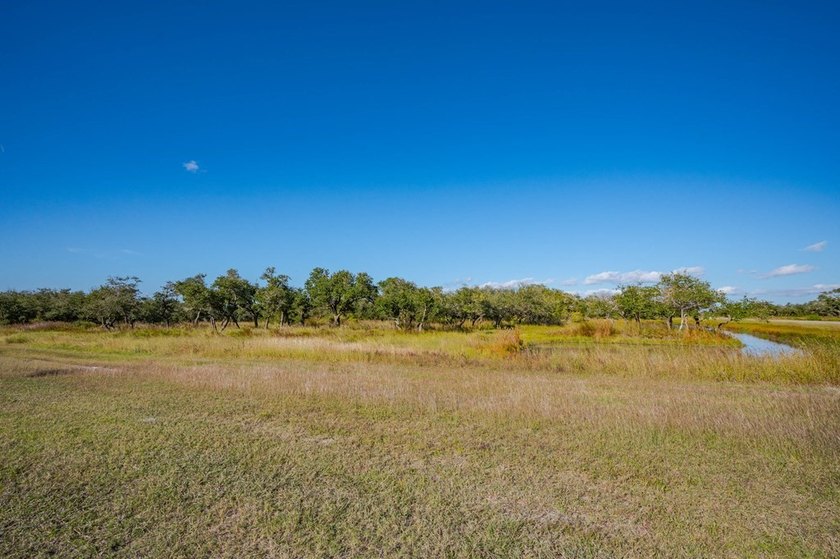 Build your dream home on this beautiful 5+ acre homesite in The - photo 8