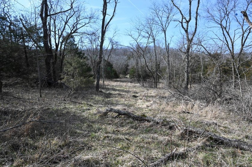 This 25+/- acre tract is located near Brumley in Miller County - photo 3