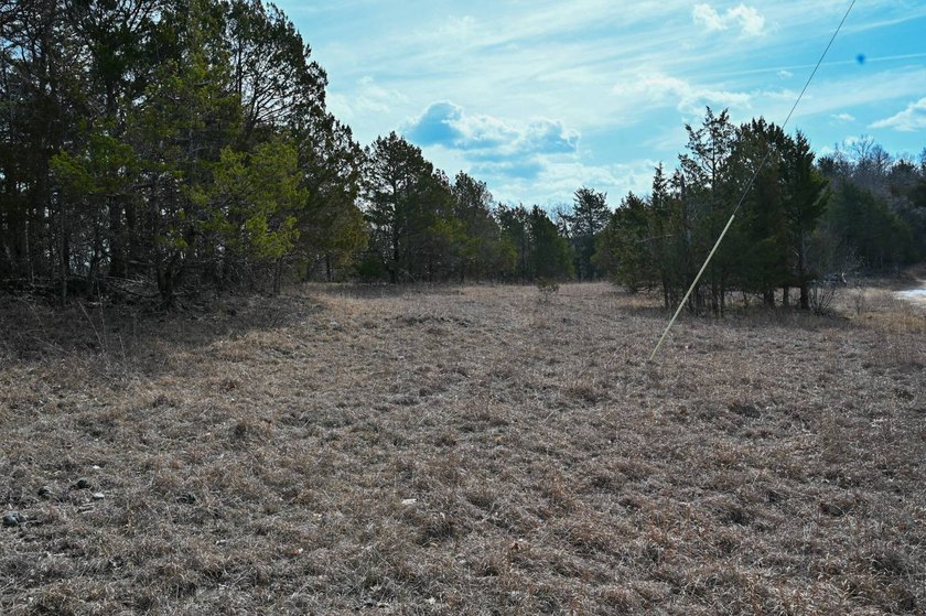 This 25+/- acre tract is located near Brumley in Miller County - photo 4