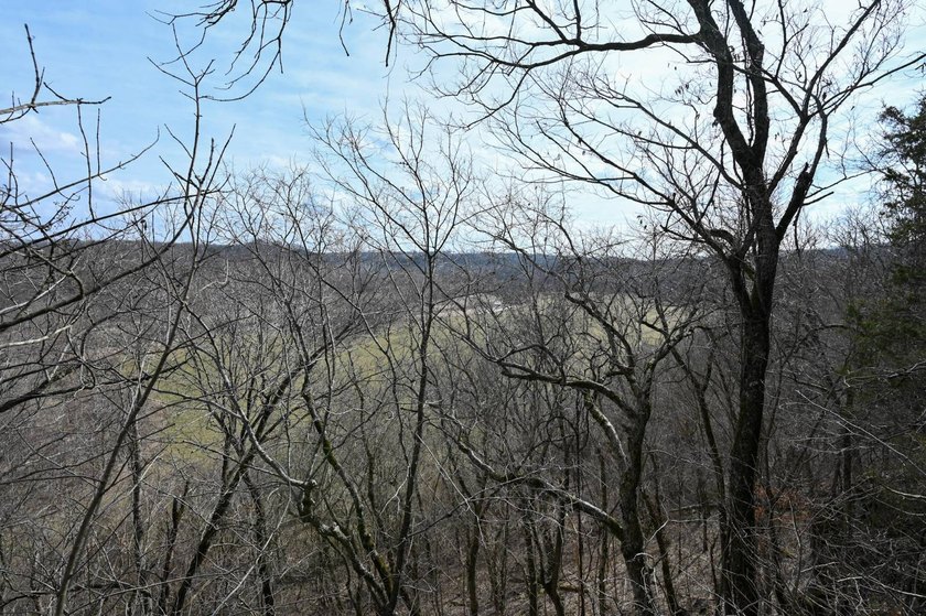 This 25+/- acre tract is located near Brumley in Miller County - photo 6