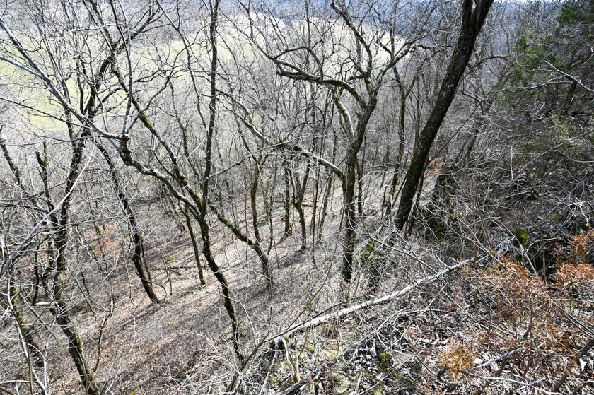 This 25+/- acre tract is located near Brumley in Miller County - photo 7