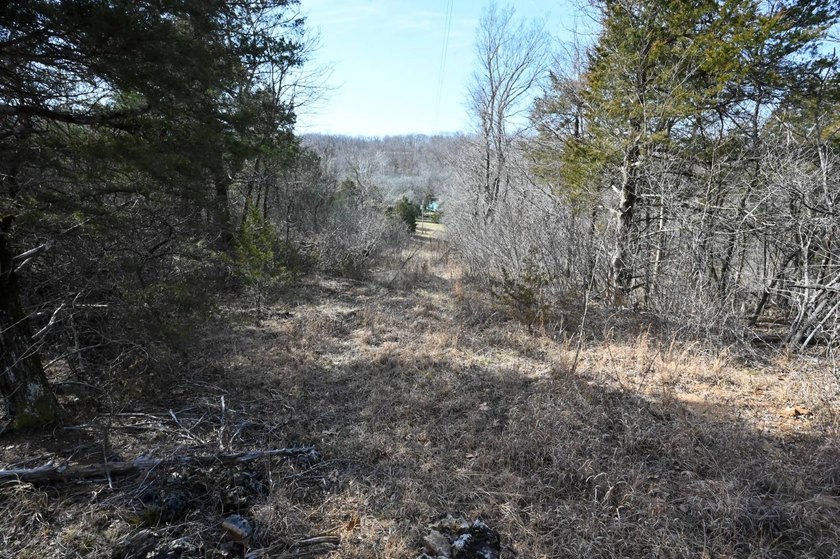 This 25+/- acre tract is located near Brumley in Miller County - photo 10