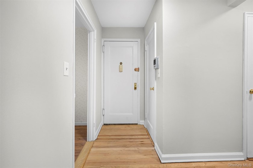 Pristine 1-Bedroom Co-Op Adjacent to the Village Green - photo 3