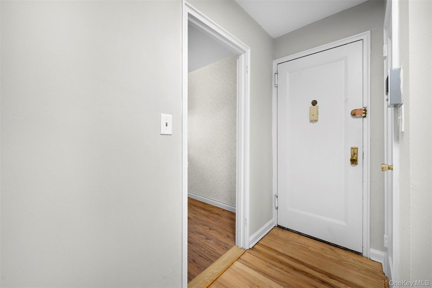 Pristine 1-Bedroom Co-Op Adjacent to the Village Green - photo 4