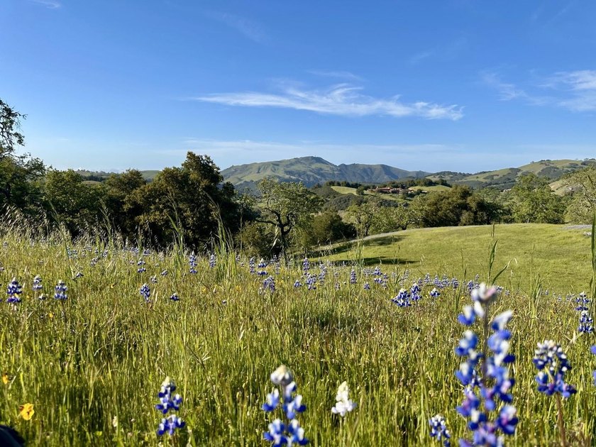 Located in the coveted Touche Pass area of the Preserve just - photo 2