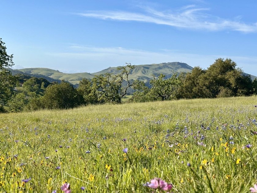 Located in the coveted Touche Pass area of the Preserve just - photo 3
