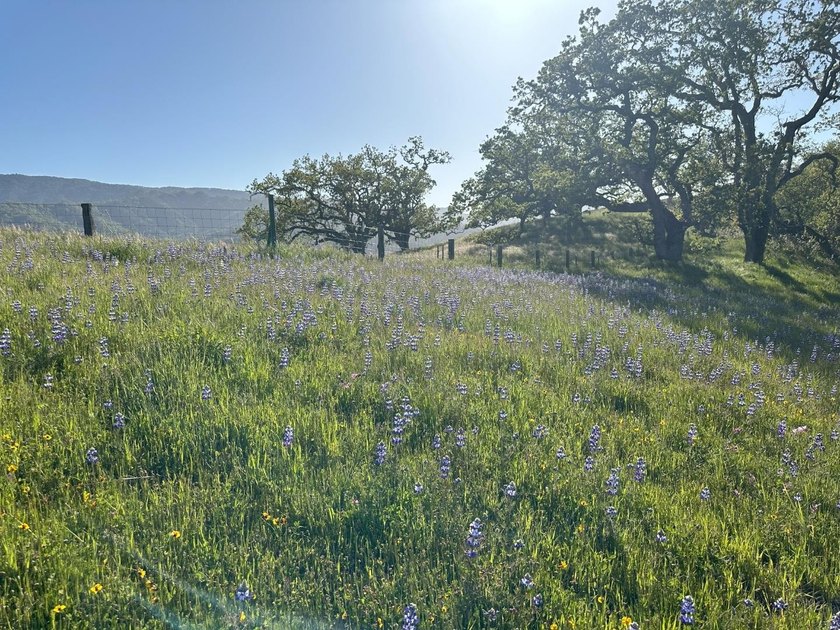 Located in the coveted Touche Pass area of the Preserve just - photo 10
