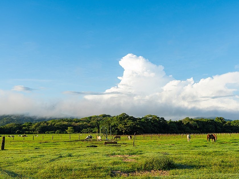 COSTA RICA: 1300+ acres of pristine Jungle/Forest/Valleys in the - photo 19