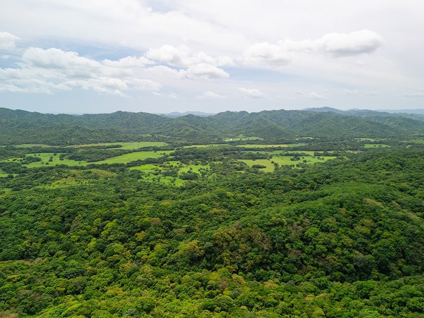 COSTA RICA: 1300+ acres of pristine Jungle/Forest/Valleys in the - photo 23