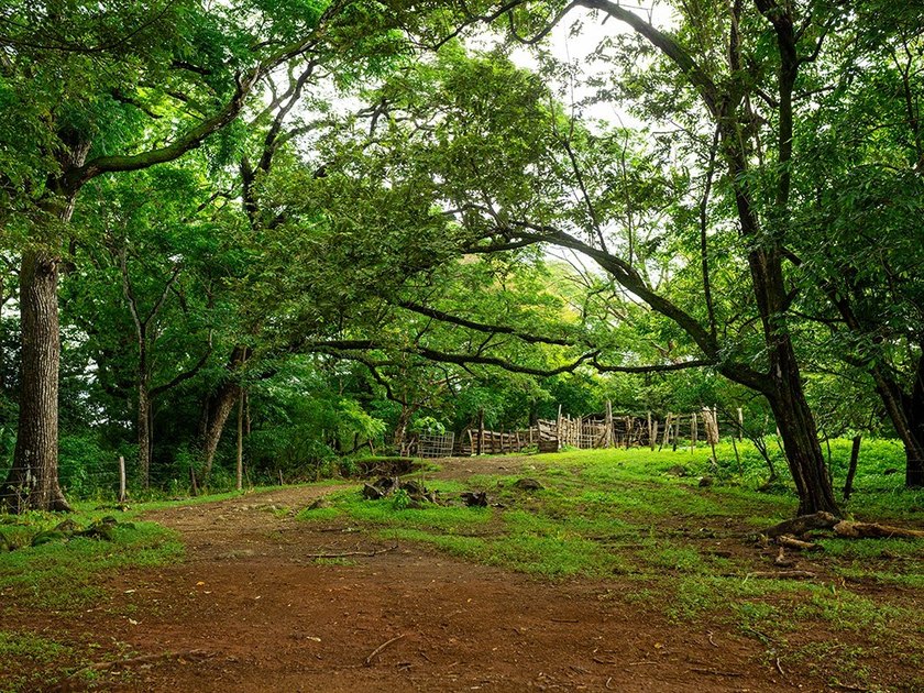 COSTA RICA: 1300+ acres of pristine Jungle/Forest/Valleys in the - photo 34
