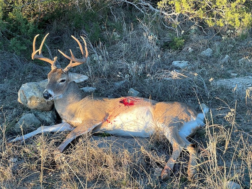 10.02 acres in Concho County NEAR TROPHY BASS LAKE O.H. IVIE! - photo 11
